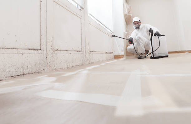 24/7 Emergency Basement Mold Remediation experts in Smithfield, VA